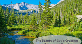 Beauty of Gods Creation Crossword Puzzle
