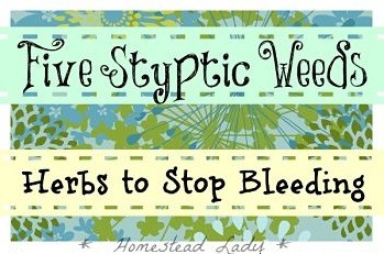 5 styptic weeds - herbs to stop bleeding