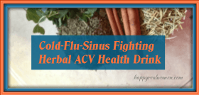 cold flu sinus fighting herbal acv health drink