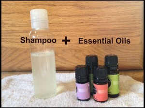 shampoo + essential oils